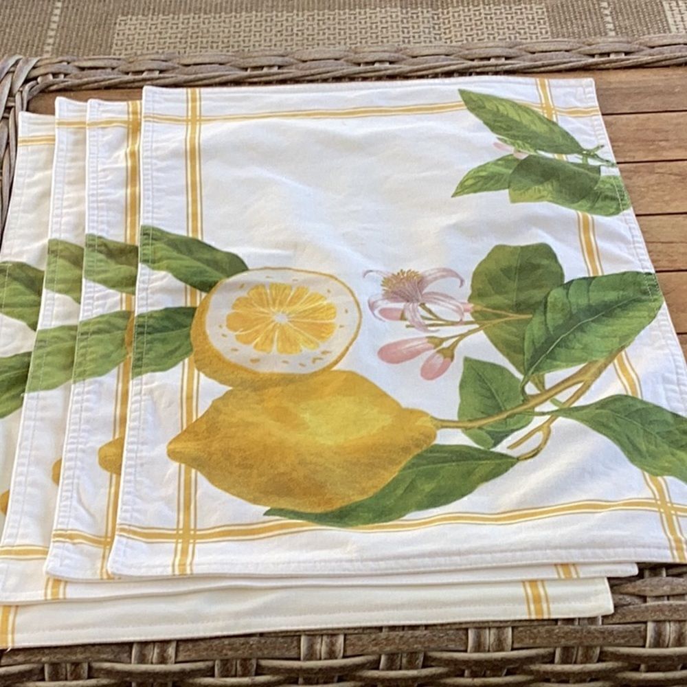 Williams & Sonoma (4) Placemats
